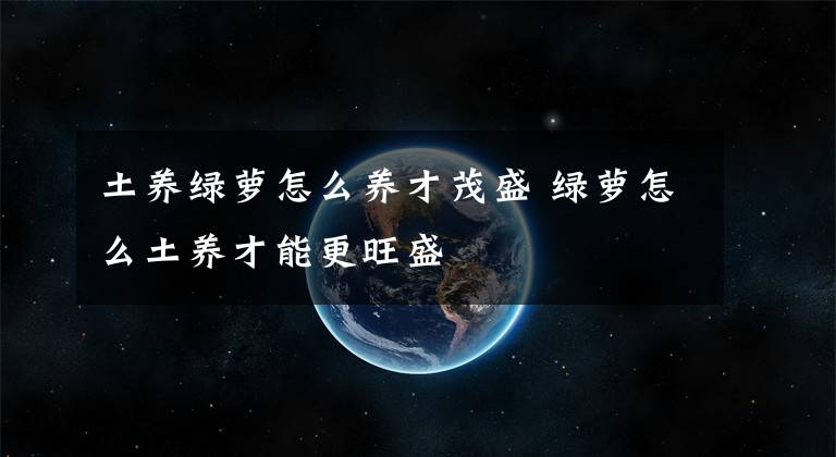 土养绿萝怎么养才茂盛 绿萝怎么土养才能更旺盛文章配图
