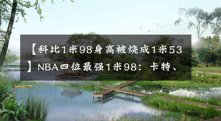 【科比1米98身高被烧成1米53】NBA四位最强1米98：卡特、乔丹、巴克利、科比，历史地位怎么排？
