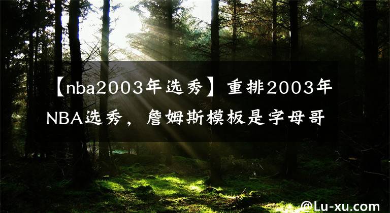 【nba2003年选秀】重排2003年NBA选秀，詹姆斯模板是字母哥，波什模板是唐斯