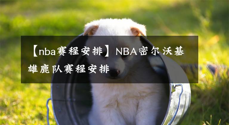 【nba赛程安排】NBA密尔沃基雄鹿队赛程安排