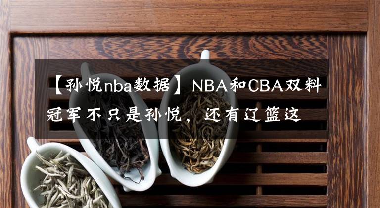 【孙悦nba数据】NBA和CBA双料冠军不只是孙悦，还有辽篮这位内线硬汉