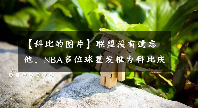 【科比的图片】联盟没有遗忘他，NBA多位球星发推为科比庆生，加索尔最为感动