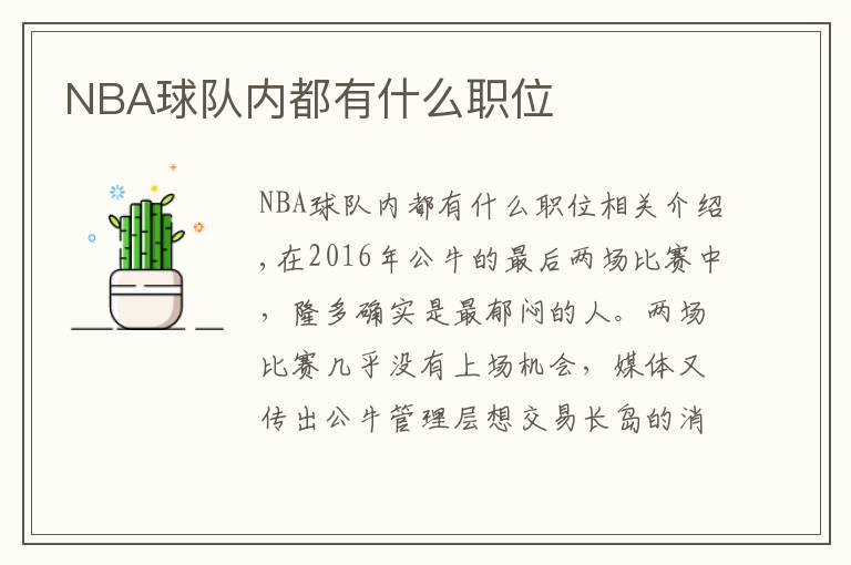 NBA球队内都有什么职位