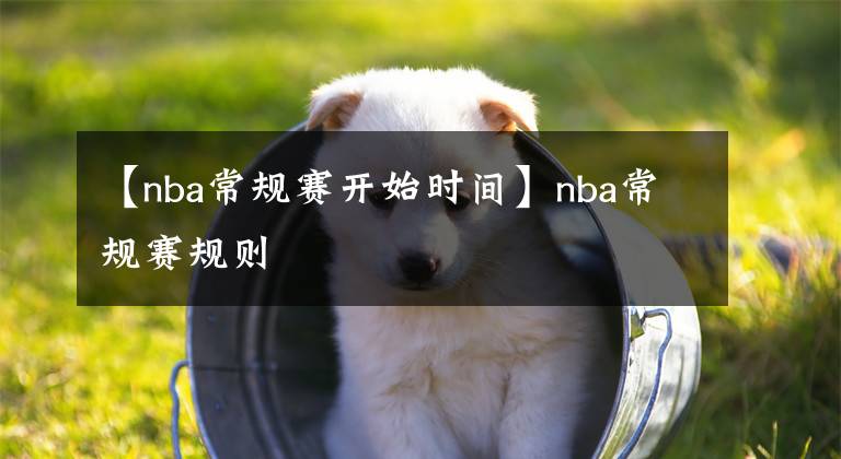 【nba常规赛开始时间】nba常规赛规则