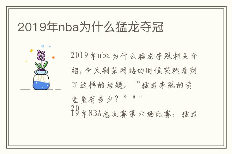 2019年nba为什么猛龙夺冠