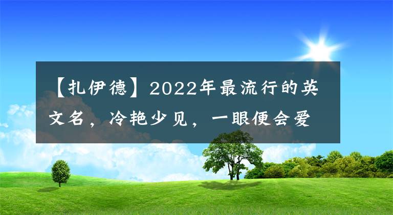 【扎伊德】2022年最流行的英文名，冷艳少见，一眼便会爱上