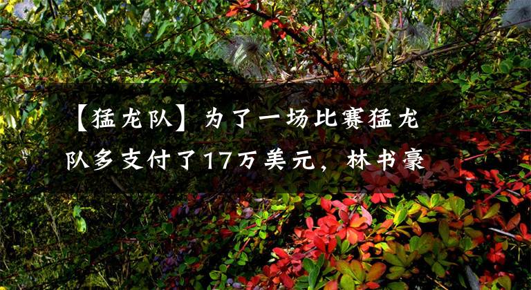 【猛龙队】为了一场比赛猛龙队多支付了17万美元，林书豪值不值得被期待呢？