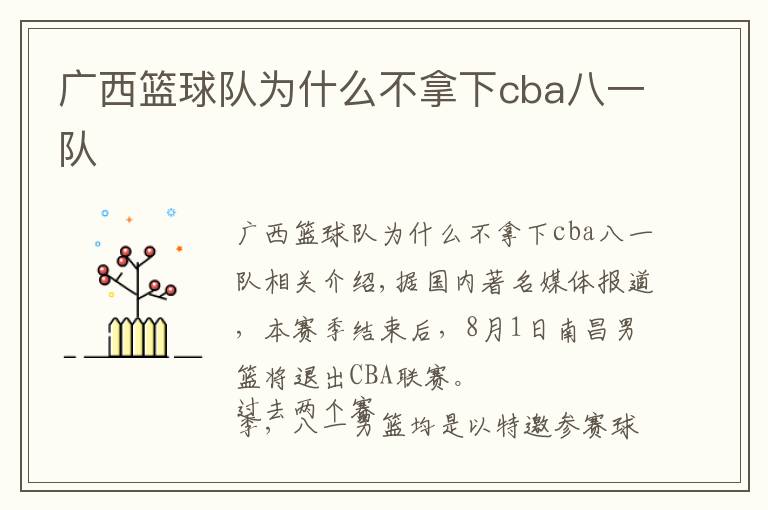 广西篮球队为什么不拿下cba八一队