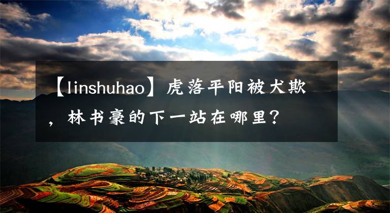 【linshuhao】虎落平阳被犬欺，林书豪的下一站在哪里？
