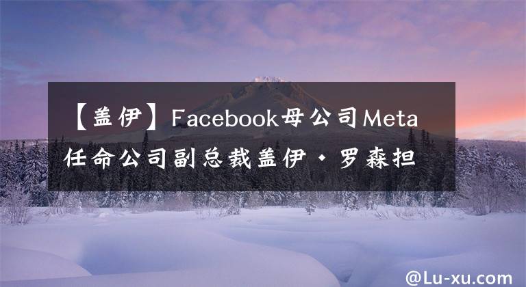 【盖伊】Facebook母公司Meta任命公司副总裁盖伊·罗森担任首席信息安全官
