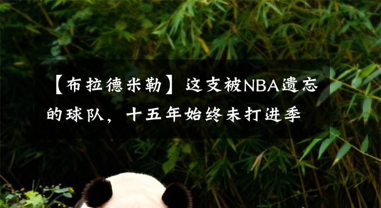 【布拉德米勒】这支被NBA遗忘的球队，十五年始终未打进季后赛