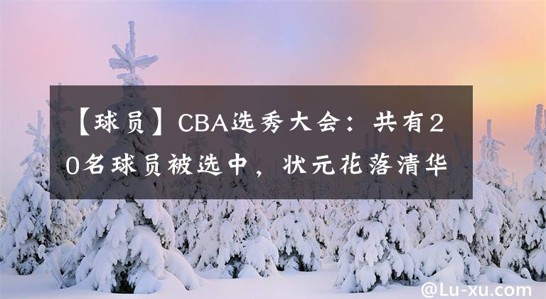 【球员】CBA选秀大会：共有20名球员被选中，状元花落清华名将王岚嵚