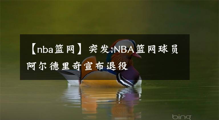 【nba篮网】突发:NBA篮网球员阿尔德里奇宣布退役