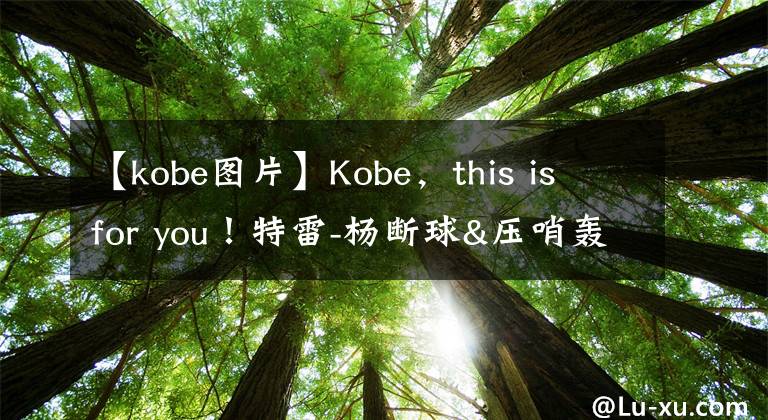 【kobe图片】Kobe，this is for you！特雷-杨断球&压哨轰进logo三分