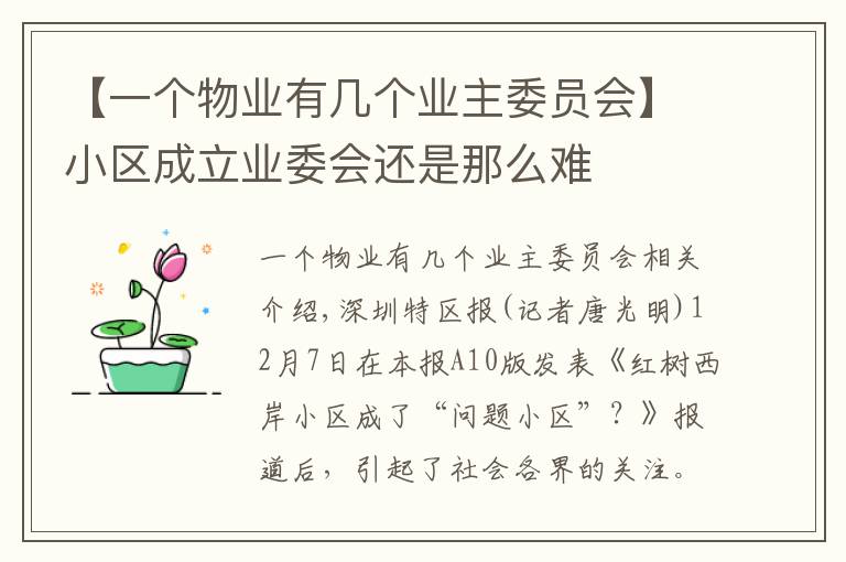 【一个物业有几个业主委员会】小区成立业委会还是那么难