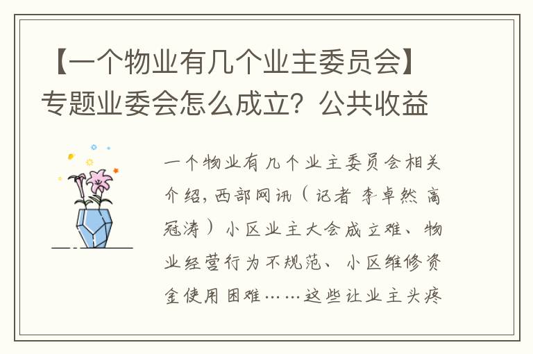 【一个物业有几个业主委员会】专题业委会怎么成立？公共收益怎么管理？陕西新修订物业服务管理条例解决这些问题