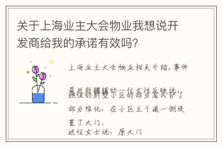 关于上海业主大会物业我想说开发商给我的承诺有效吗？