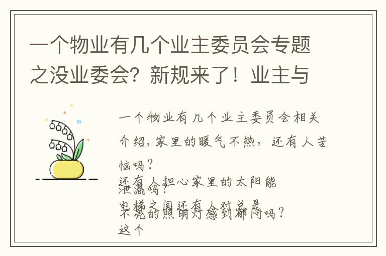 一个物业有几个业主委员会专题之没业委会？新规来了！业主与物业公司共同管理小区