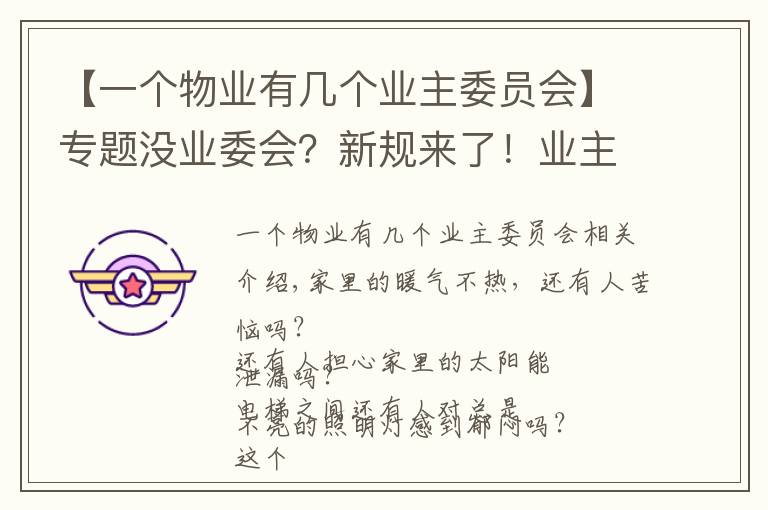 【一个物业有几个业主委员会】专题没业委会？新规来了！业主与物业公司共同管理小区