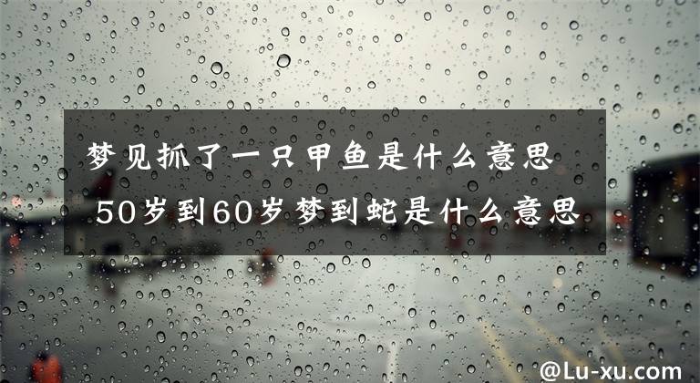 梦见抓了一只甲鱼是什么意思 50岁到60岁梦到蛇是什么意思