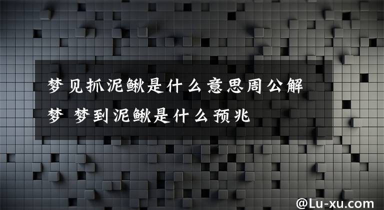 梦见抓泥鳅是什么意思周公解梦 梦到泥鳅是什么预兆