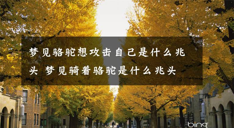 梦见骆驼想攻击自己是什么兆头 梦见骑着骆驼是什么兆头文章配图
