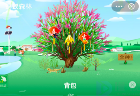 蚂蚁森林背景更换功能上线 可领取新春限定背景