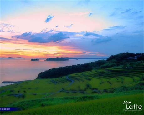 北京公社 杨心广“坏土”