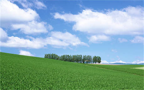 风景园林专业就业前景 园林行业是否已经进入饱和？毕业生就业前景怎么样？