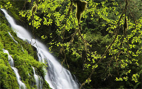 火神山漏雨 2月15日,一段火神山医院严重漏水的视频在网上流传,并称“火神山医院被风吹走