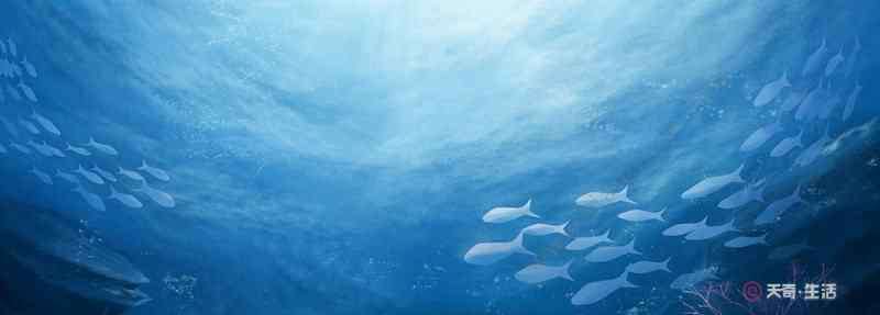 海底两万里的人物 海底两万里的主人公是谁 海底两万里的主人公