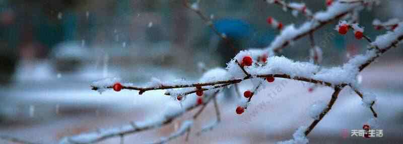 描写雪的诗 描写雪的古诗有哪些 关于雪的诗句