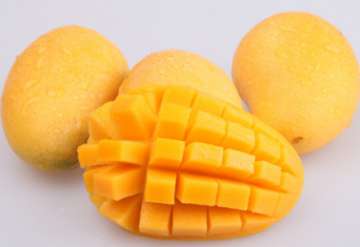 芒果什么季节成熟 芒果什么时候成熟上市 几月份吃好