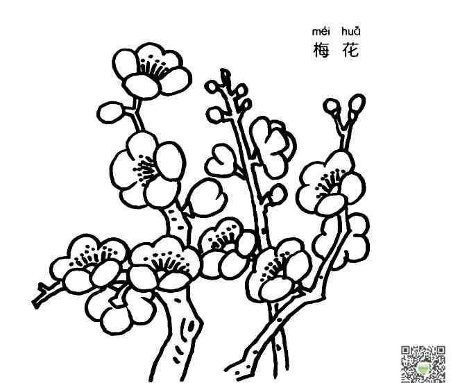 儿童梅花画 梅花树枝简笔画图片_梅花儿童绘画作品图集