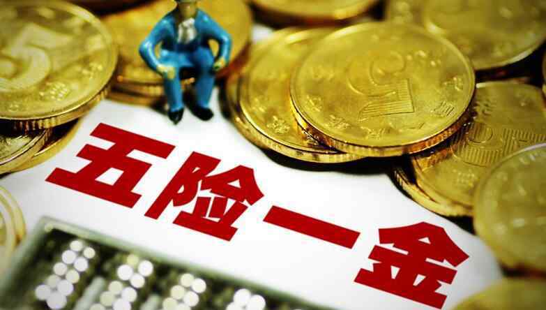 三金一险 五险三金是哪些 五险三金缴纳比例是多少？