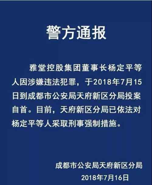 杨定平 雅堂董事长杨定平自首怎么回事？雅堂是怎么一步步走向倒闭的