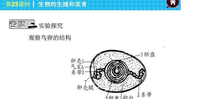 鸟卵的结构 2014八年级生物会考：观察鸟卵的结构