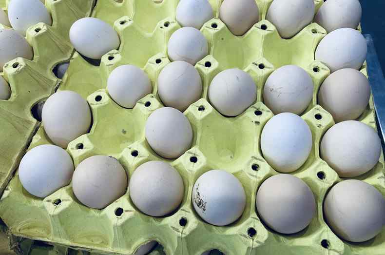 今日鸡蛋价格查询 鸡蛋今日行情 近期鸡蛋价格为何上涨？