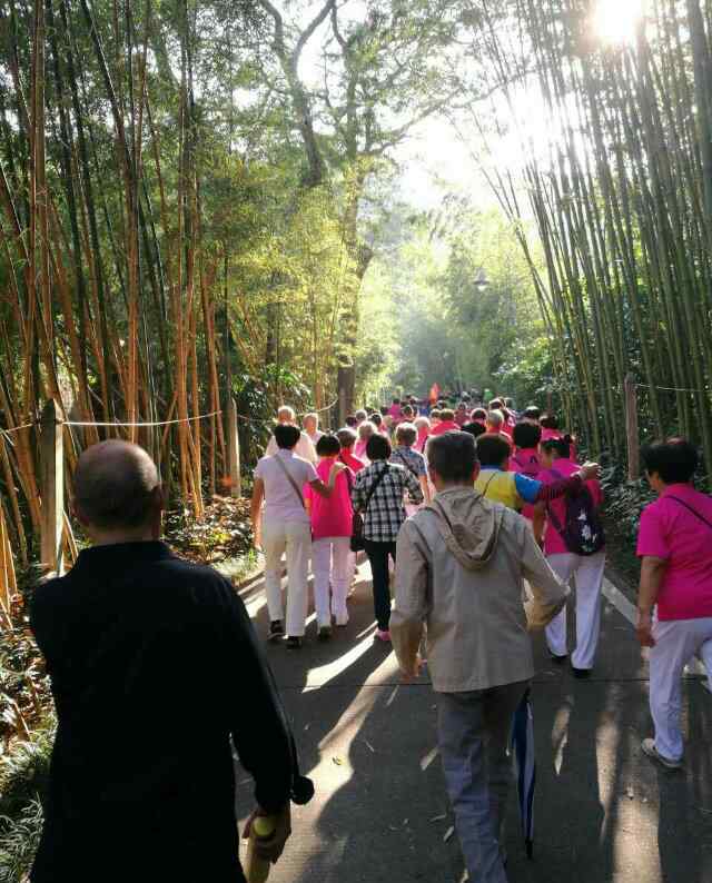 重阳节快乐 重阳节快乐！