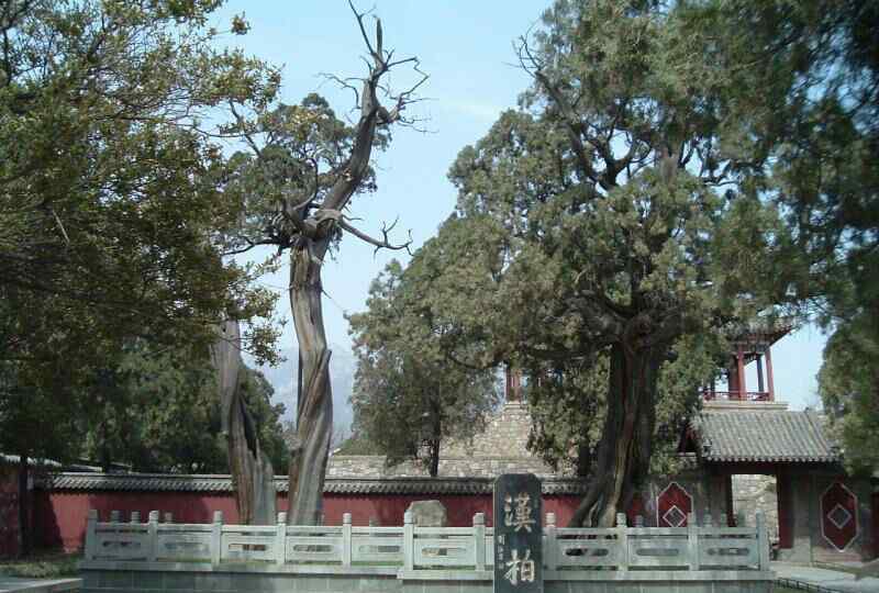 李柯 岱庙游记——李柯