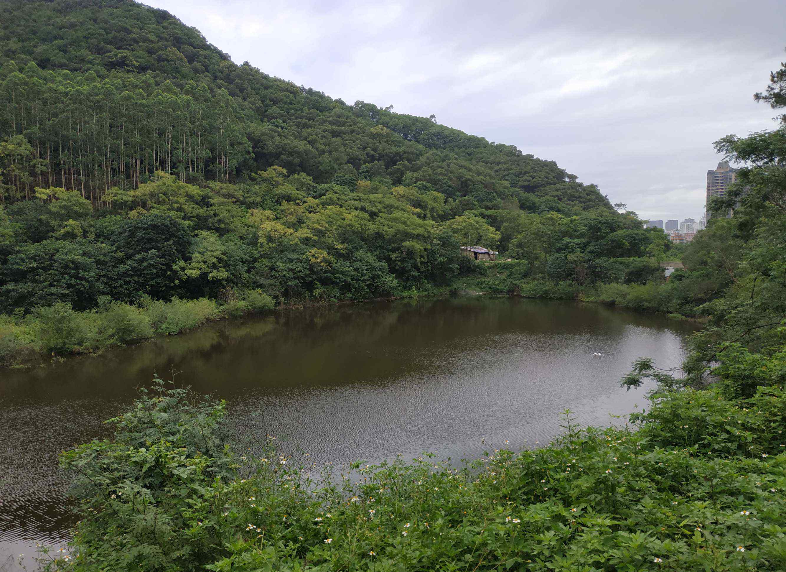 万达茂 五象基地总部休闲公园/南宁万达茂游记/五象森林公园