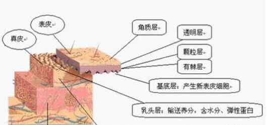 瑞倪维儿化妆品 为什么化妆品要买整套？瑞倪维儿各种套盒的功效和用法