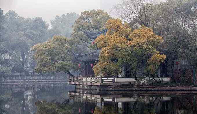 月湖公园 宁波游记月湖公园