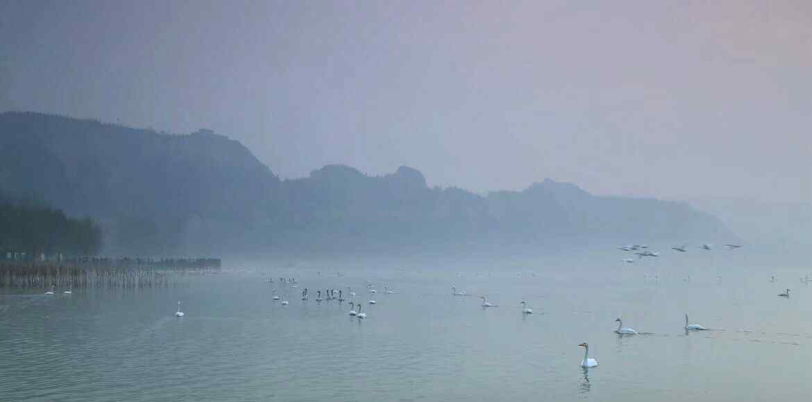 山西平陆县 山西平陆天鹅湖景区