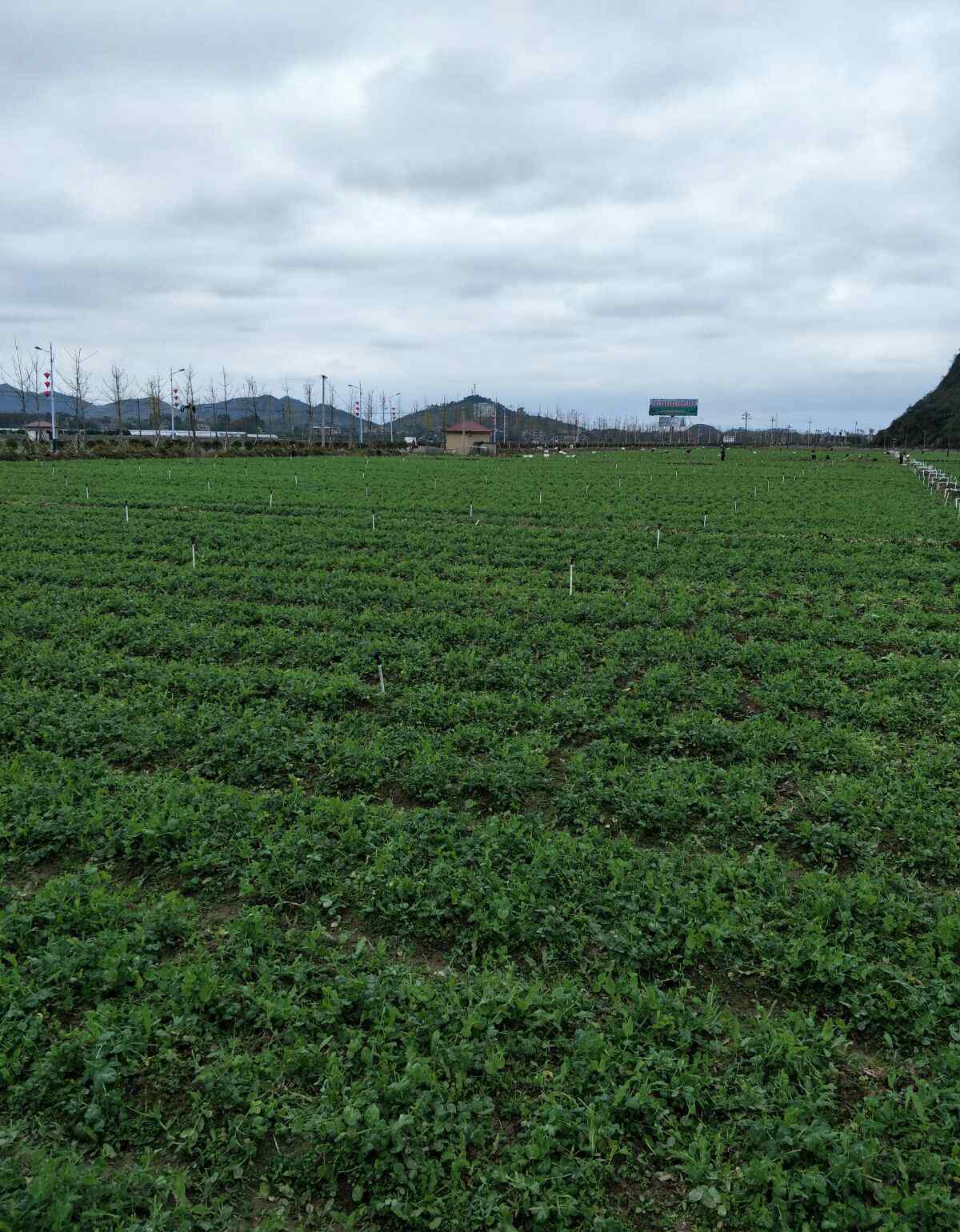 周敦颐简介 介绍道州:宋代理学鼻祖周敦颐的故乡，位于湖南永州道县清塘楼田村。