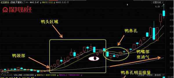 股票老鸭头形态图解 老鸭头战法是什么 图文详解
