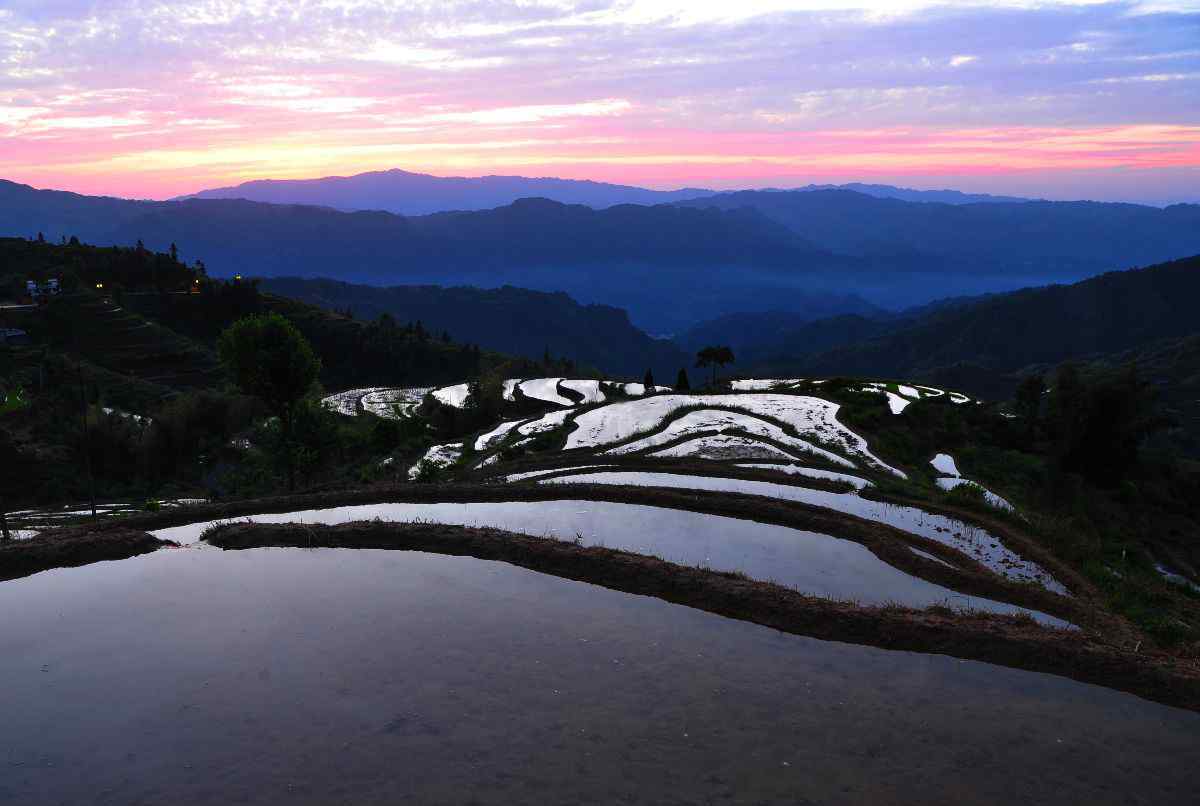 花瑶梯田 美 丽 的 山 背 花 瑶 梯 田