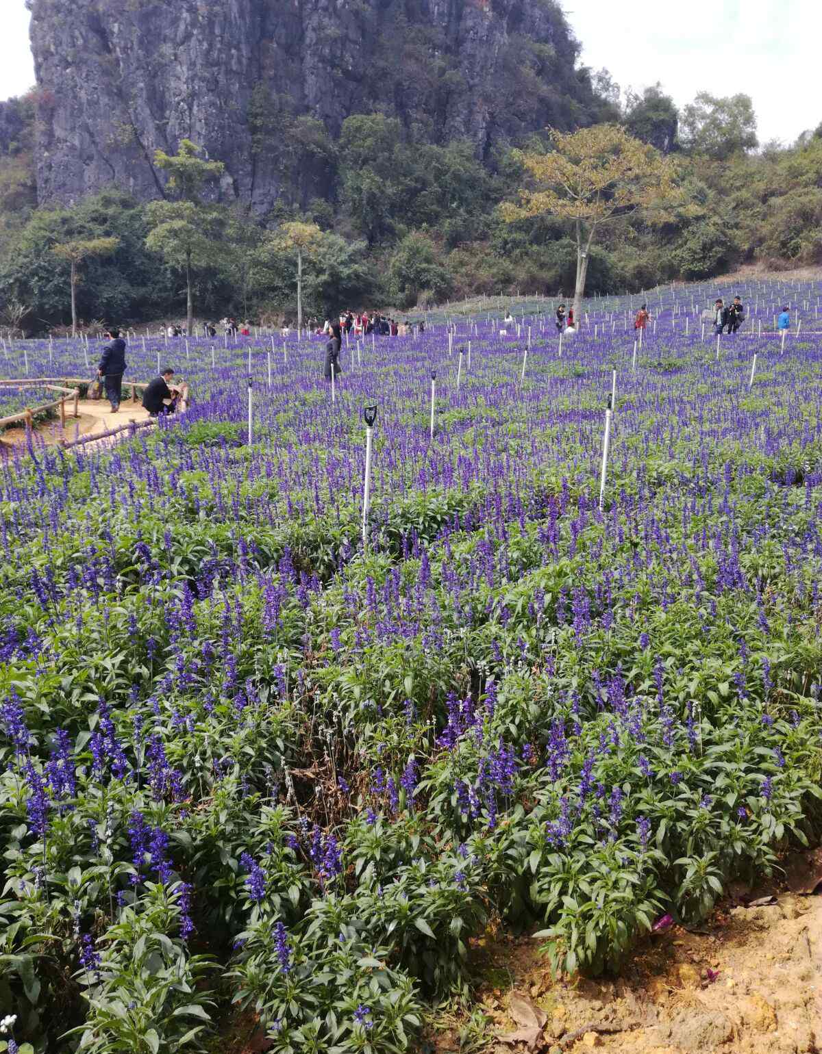 阳江春湾 阳江阳春春湾石林风景区