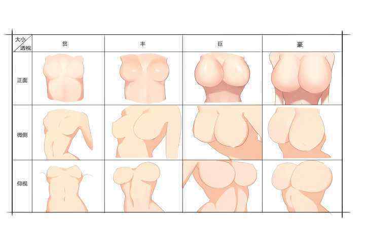 想教画乳房的同学们,能够上轻微课看一下她们的实例教程哦