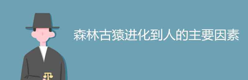 森林古猿 森林古猿进化到人的主要因素